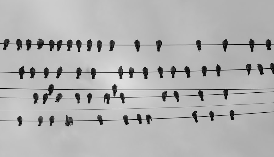 Photo Social engineering